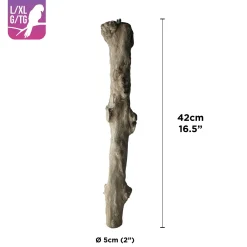Java Coffee Wood Perch for Large/XLarge Parrots 5cm (2