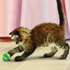 Kong Active Cat Tennis Balls with Bells
