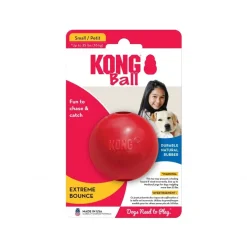 Kong Ball Small