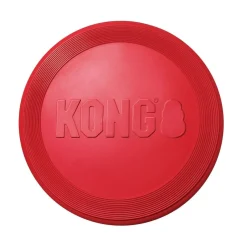 Kong Flyer Small