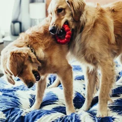 Kong Ring Medium/Large