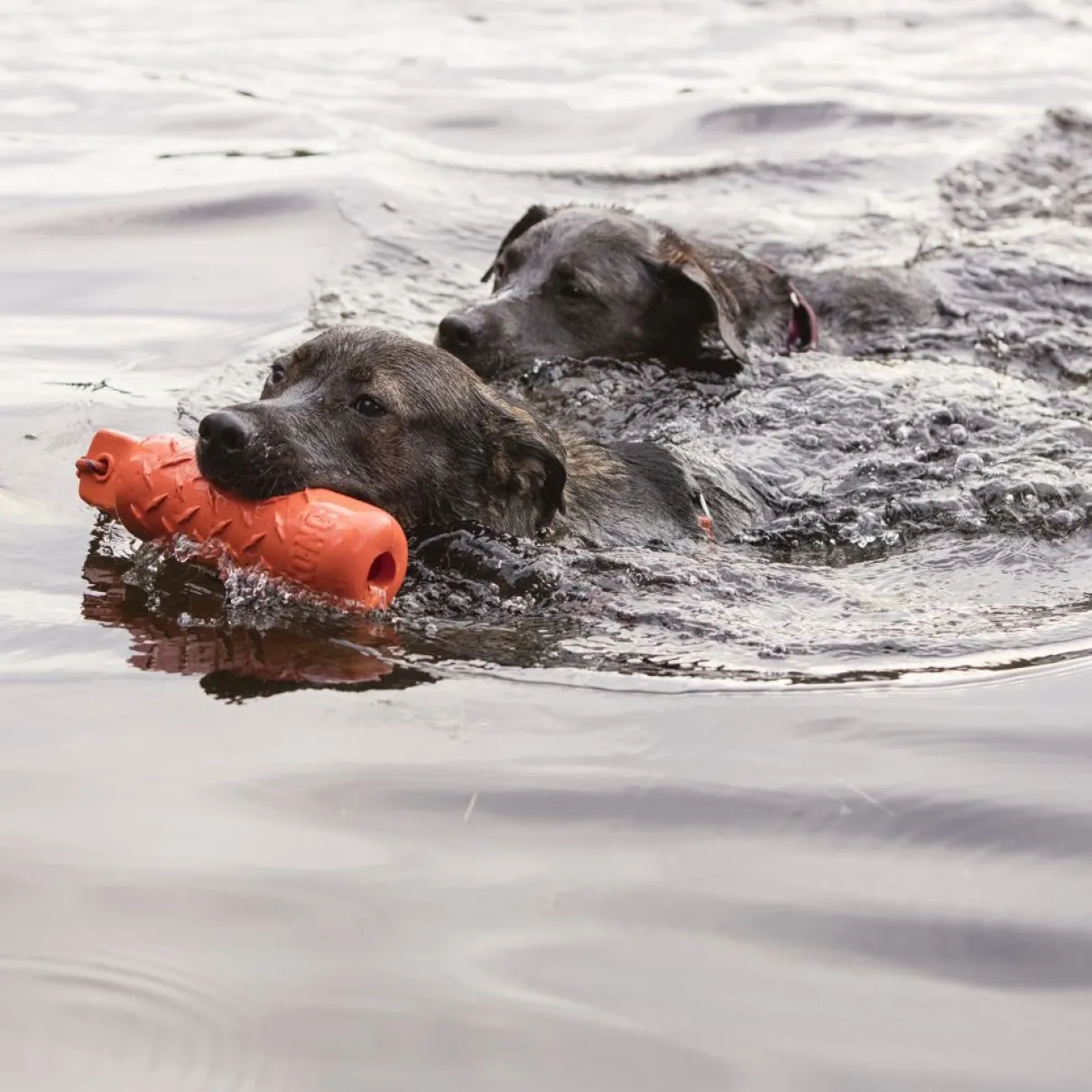 Kong Training Dummy X-Large