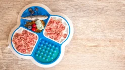 Lick Tray - Blue/White