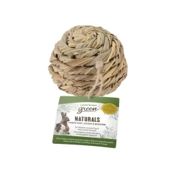 Living World Green Naturals Chew Toy Ball