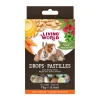 Living World Small Animal Drops Multi-Mix Flavour 75g (2.6oz)