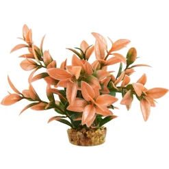 Ludwiga Peach Tip 6" Aquarium Plant