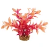 Ludwiga Sunset 6" Aquarium Plant