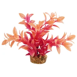 Ludwiga Sunset 6" Aquarium Plant