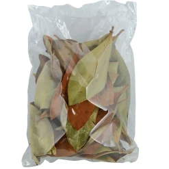 Magnolia Leaf Litter