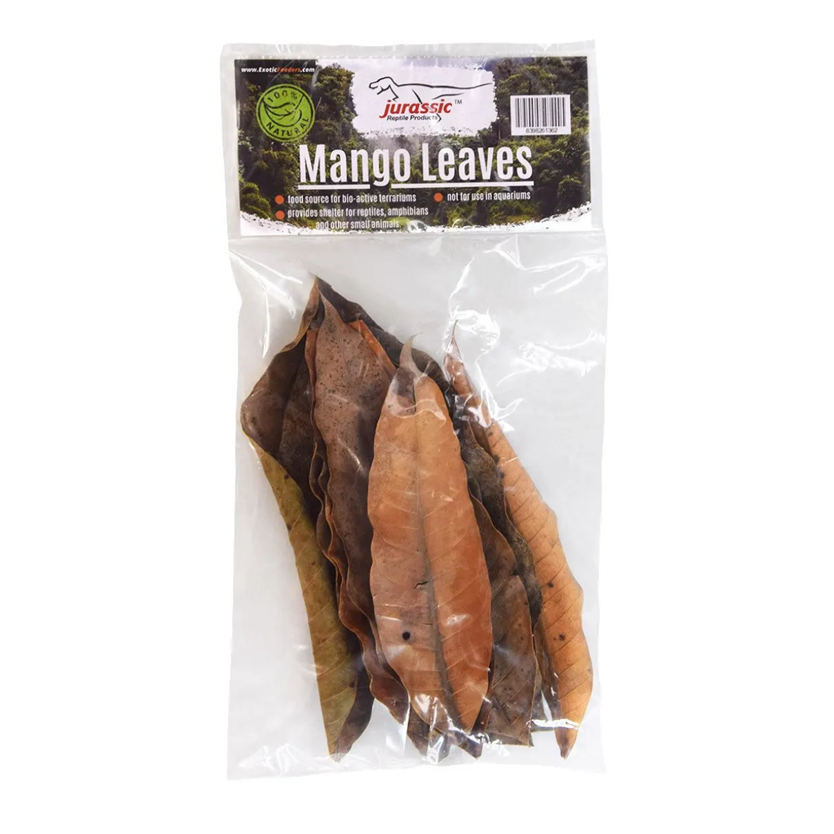Mango Leaves