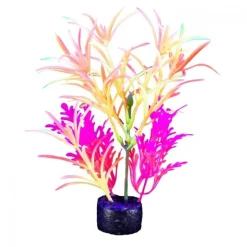 Marina iGlo Plant - 7.5" - Orange/Yellow/Pink