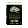 Multi Vitamin Powder Supplement 30g