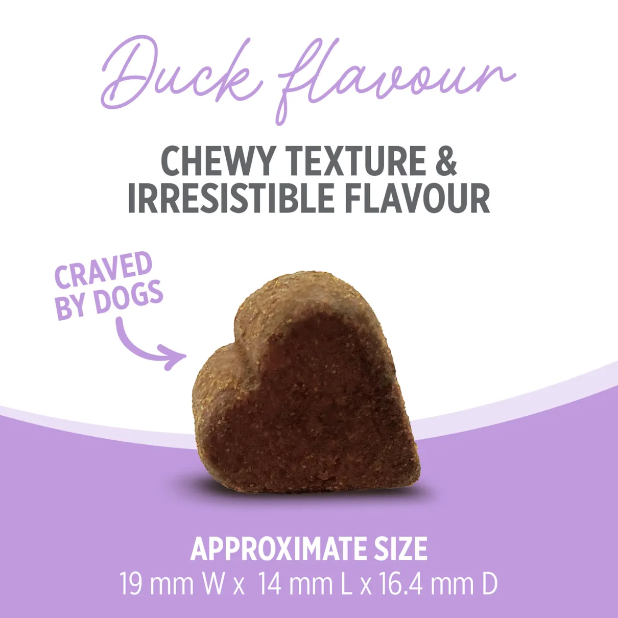 Nutrience Care Supplement for Dogs Hip & Joint 100 soft chews 400g