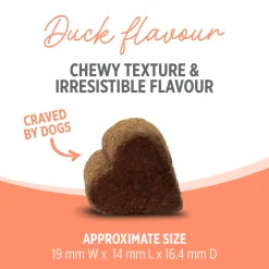 Nutrience Care Supplement for Dogs Probiotic+ 100 soft chews 400g