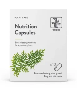 Nutrition Capsules