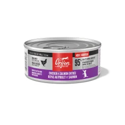 ORIJEN Chicken & Salmon Entrée for Kittens Wet Cat Food 155g