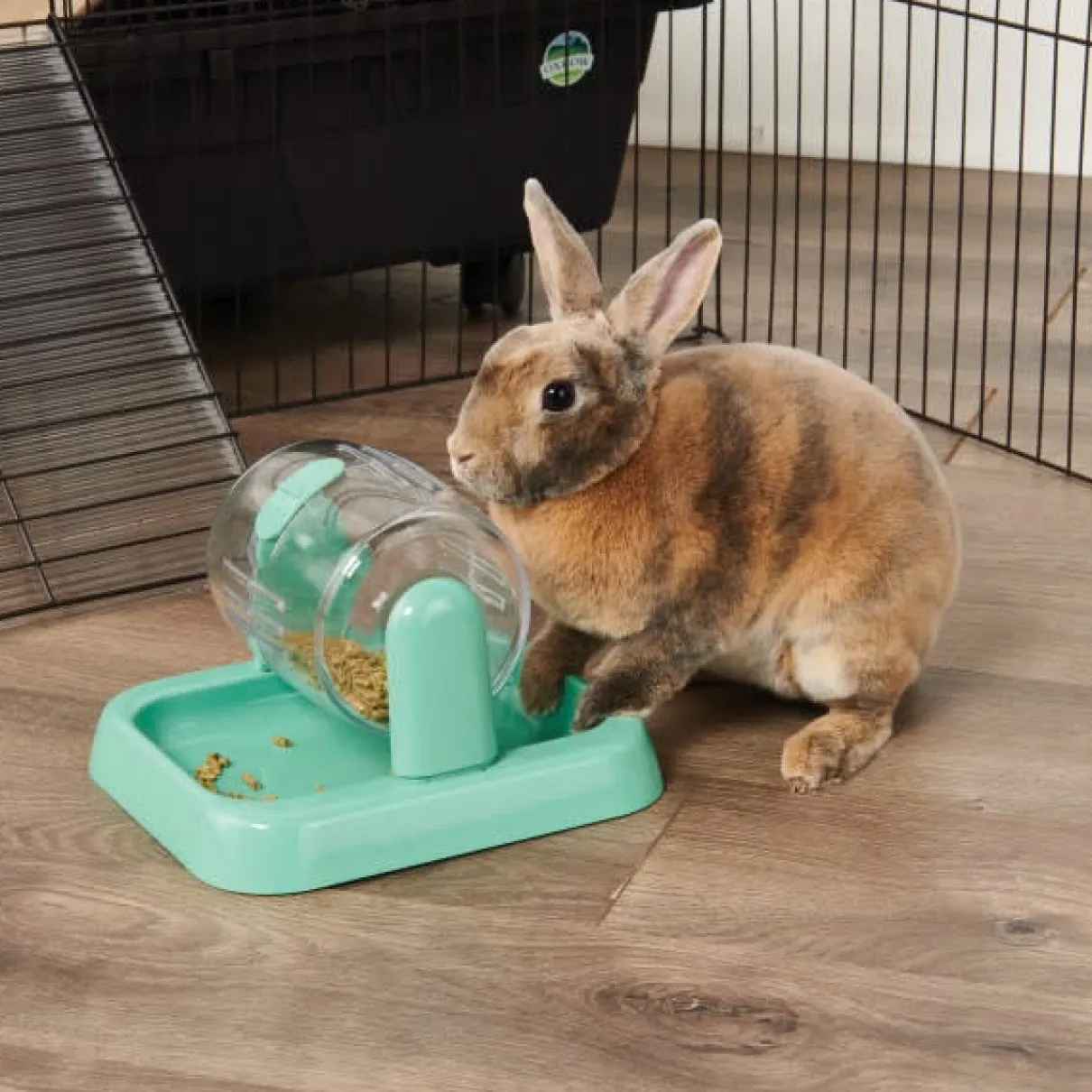 Oxbow Enriched Life Rolly Teaser