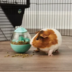 Oxbow Enriched Life Wobble Teaser