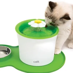 Peanut Placemat Green