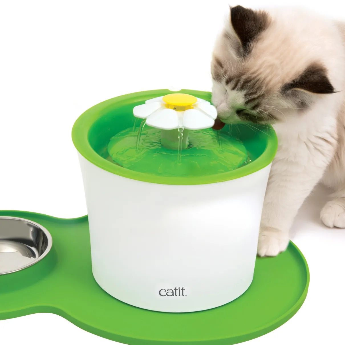 Peanut Placemat Green