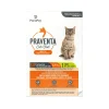 Praventa Flea Treatment - Small Cats 2.3 kg to 4 kg - 1 Tube