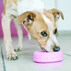 Puppy Kong Tire Small Assorted