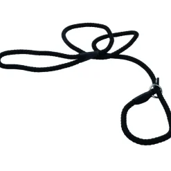 Rope Slip Leash 6'