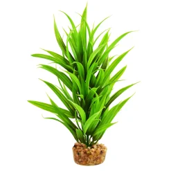 Sword Tree 8" Aquarium Plant