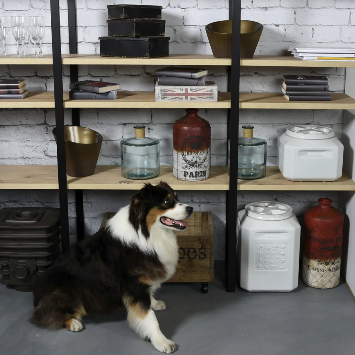 Vittles Vault Food Storage Container 35lb - 12x12x13.25in