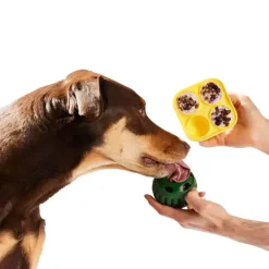 Woof Pupsicle Treat Tray Large