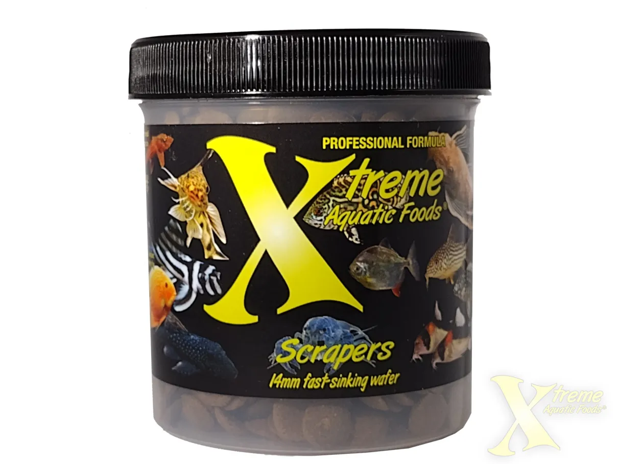 Xtreme Scrapers 280g