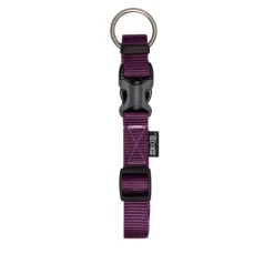 Zeus Adjustable Nylon Dog Collar